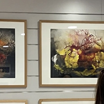 Exposition 'De natures' - LUZY