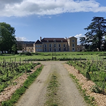 Château de Meursault - Dégustation 'Vente des Vins 2025' de 6 vins de la Côte de Beaune - MEURSAULT