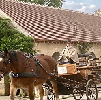 La Calèche de Clem - NOYERS