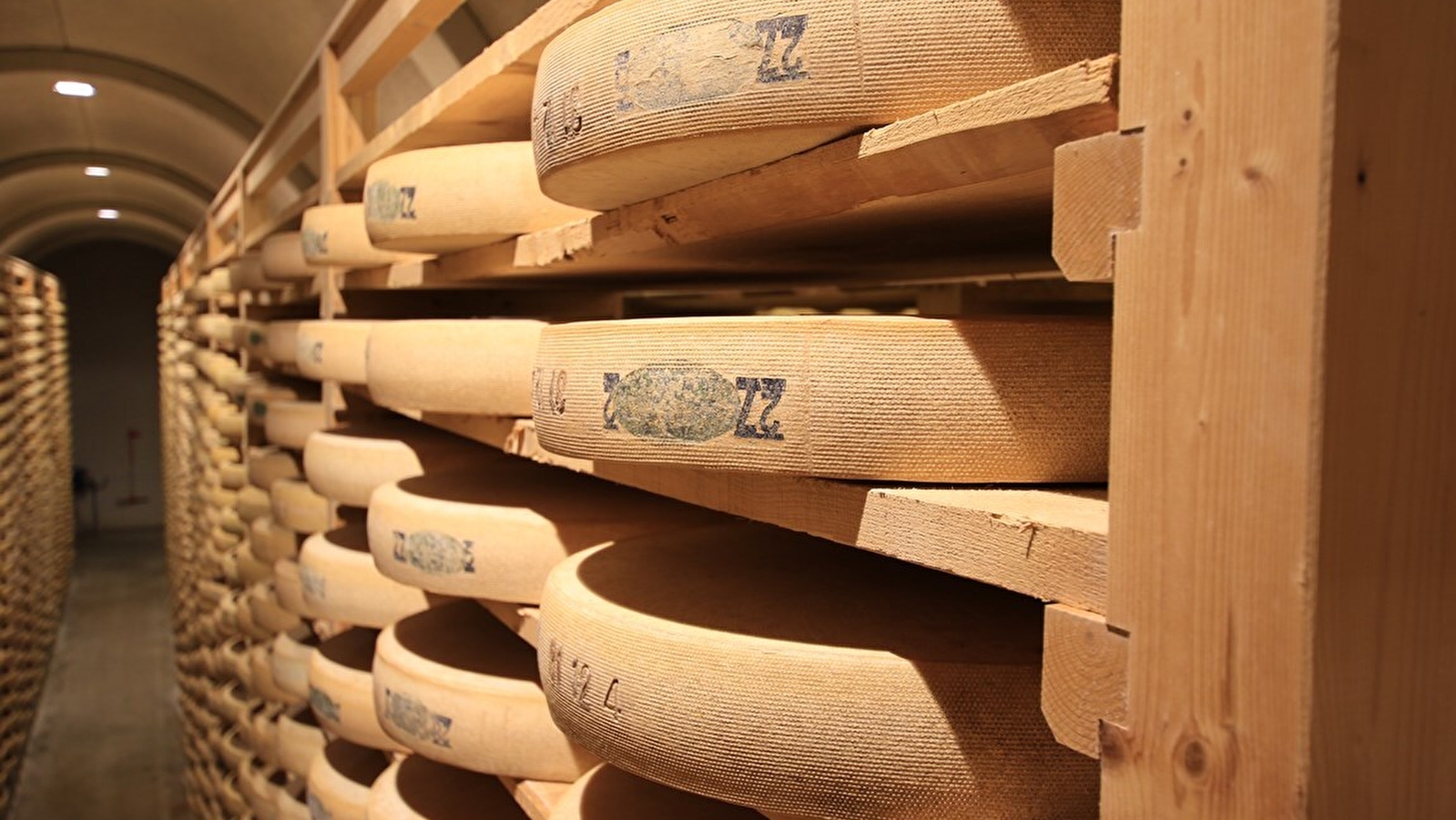 Visite des caves d'affinage de comté