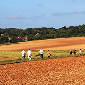 Randonnée à thème - La bataille de Fontenoy - THURY