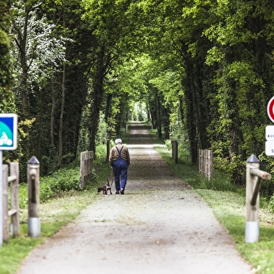 Campagne belgeacienne