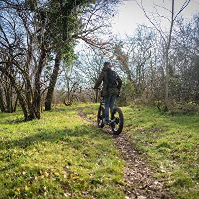 ESPRIT NATURE - Trottinette tout terrain