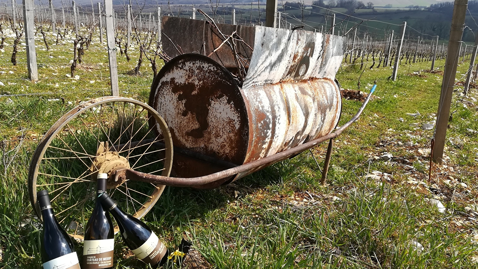 Marche nordique et oenologique des cadoles