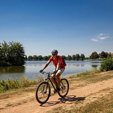 La Grande Traversée du Massif Central à VTT (GTMC)