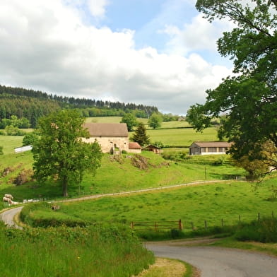 Entre étang et forêts 