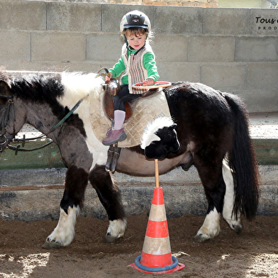 Initiation ou perfectionnement à l'équitation