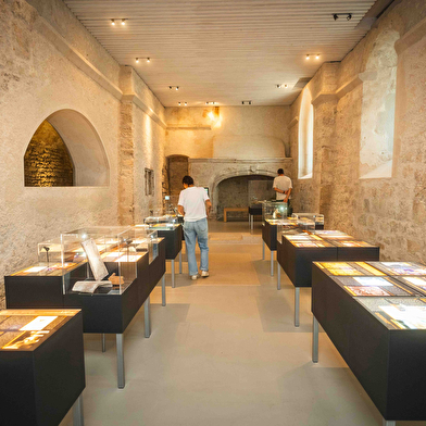 Musée de l'Abbaye - Visite guidée du sous-sol archéologique