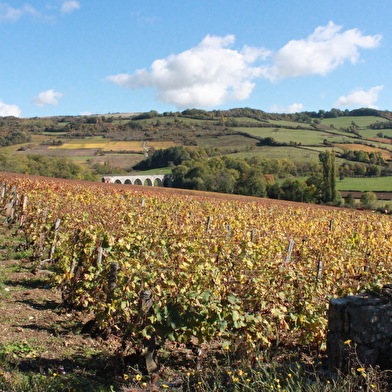 OeNolay tour - Cœur des Hautes Côtes de Beaune