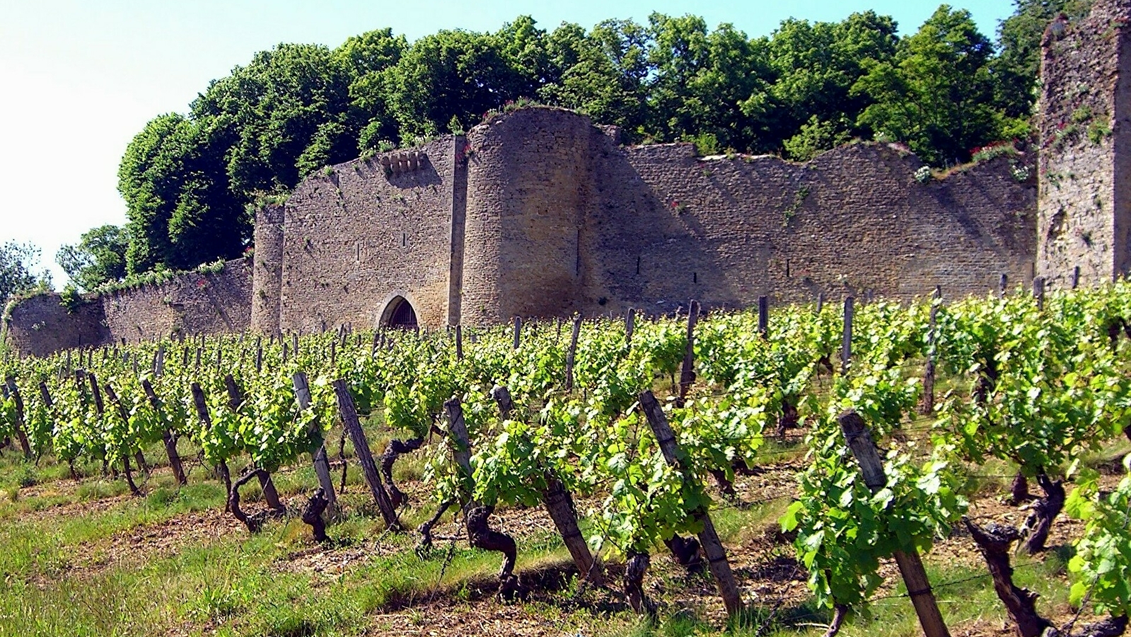 Domaine du Château d'Arlay