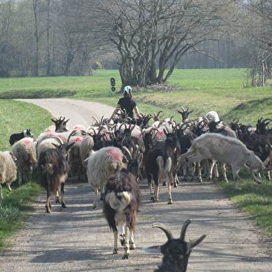 Ferme du Jointout