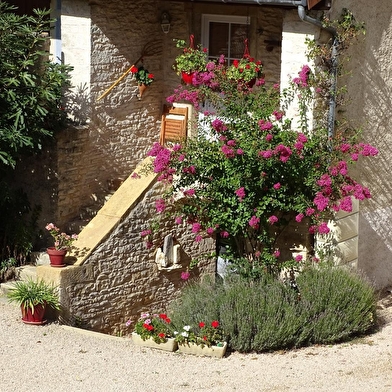 Le Figuier