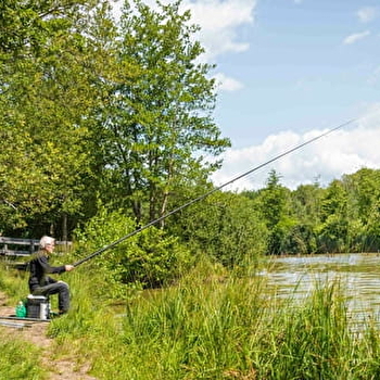 ENS - Zone humide de l'Étang du Breuillez - BREMONDANS