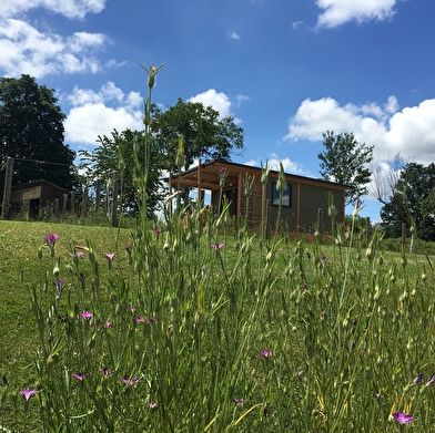 Le chant des oiseaux - Tiny House