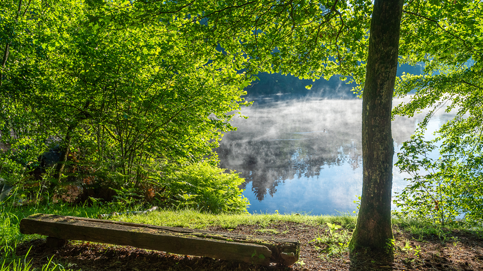 Etang de Pézanin