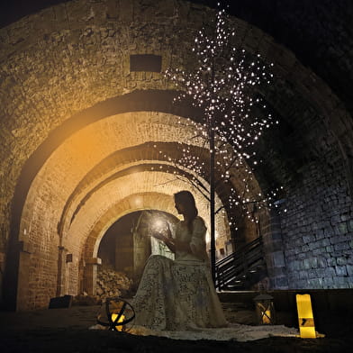 L'Eclat de l'Or Blanc : un conte en lumière à la saline