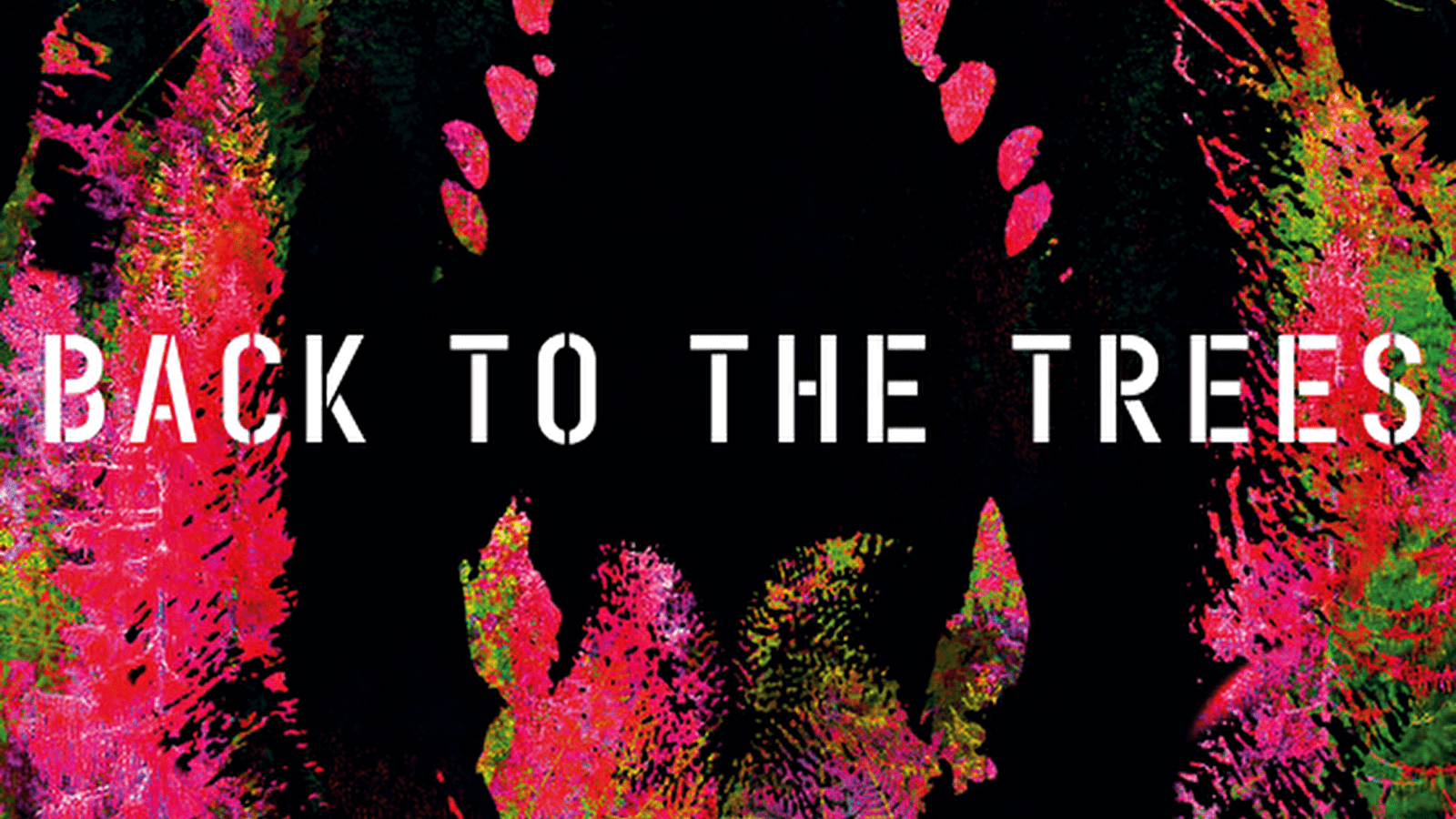 Back to the trees 