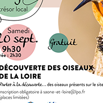Découverte des oiseaux de la Loire - BOURBON-LANCY