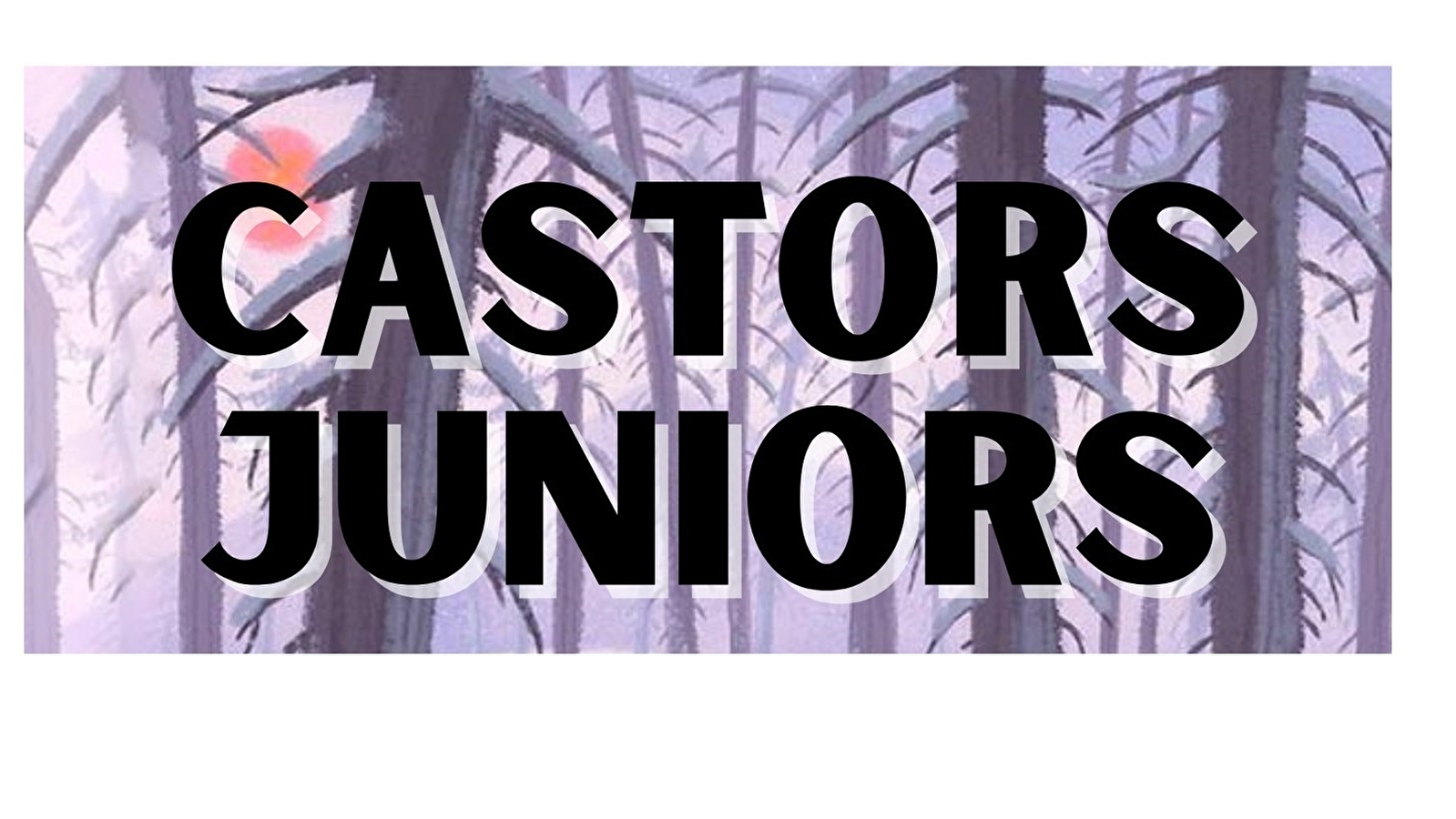 Castors Juniors