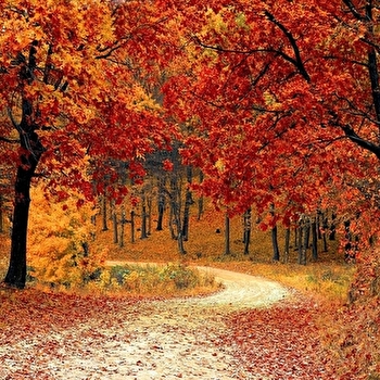 Chantiers d'automne - POLIGNY