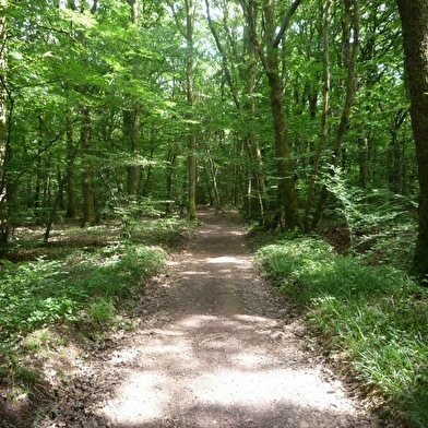 Massif de la Serre