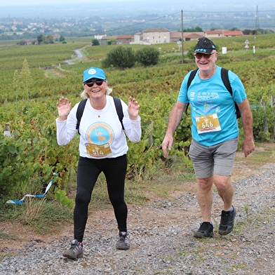 Tour des Crus du Beaujolais
