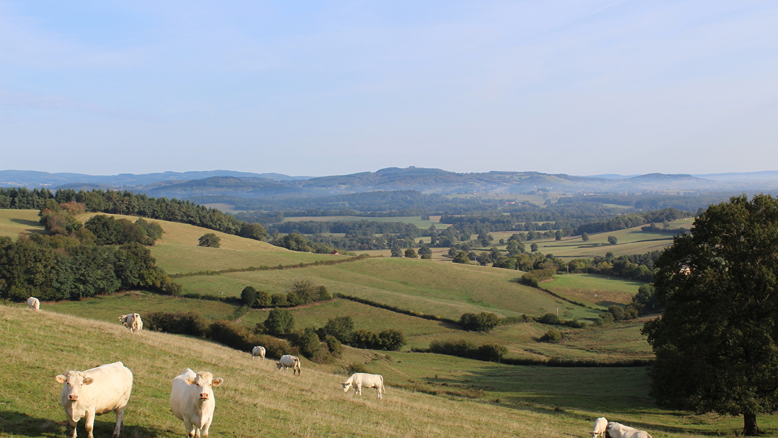 La Vallée de l'Arroux