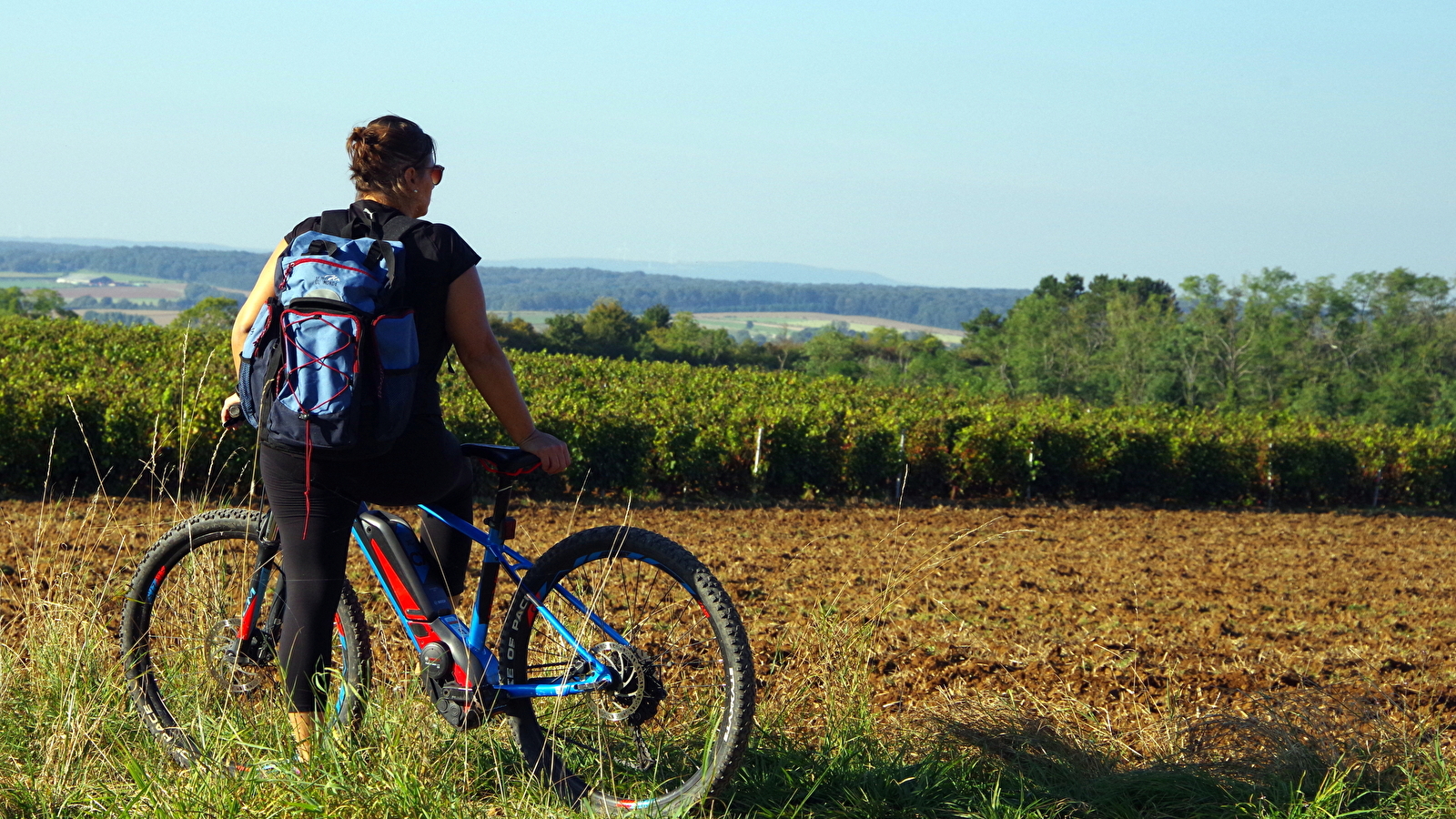 La boucle des Vieilles Vignes 