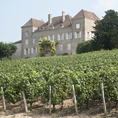 Musée de la Vigne et du Vin