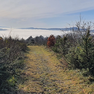 Randonnée - Treffort et le belvédère du Mont de Grillerin