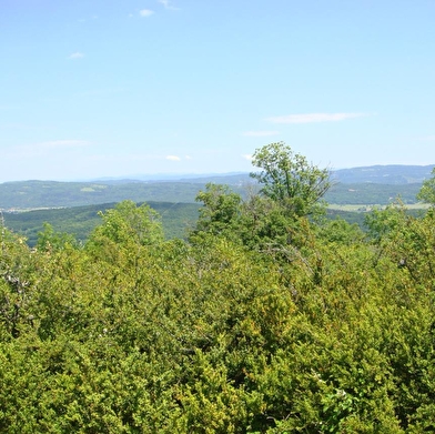 Les Conches, la sainte colline du Revermont