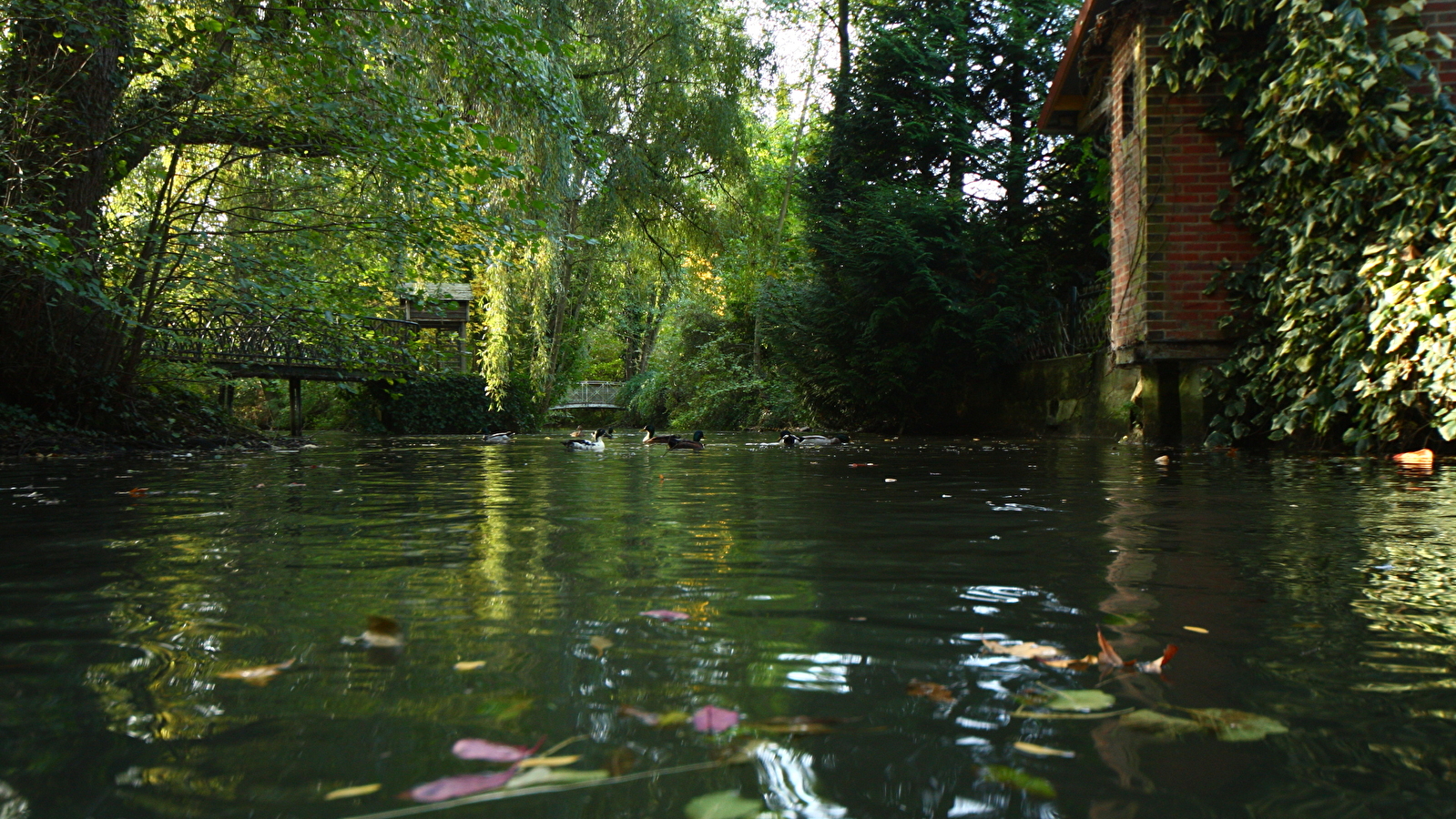 Parc du Moulin à Tan et Serres de Collections Tropicales