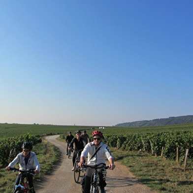 Balades Oenologiques à vélo 'Côte de Nuits Grand Cru' de Nuits-Saint-Georges à Gevrey Chambertin