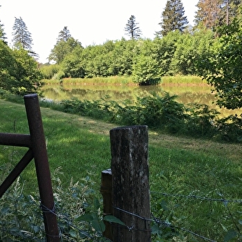 Meublé Le Petit Foulon - LORMES