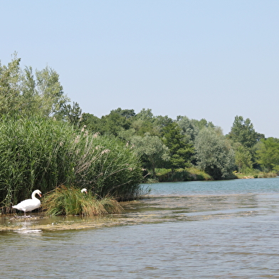 Tour des lacs - Chemin de la Reyssouze