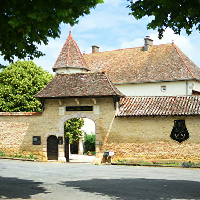 Château Chardonnay