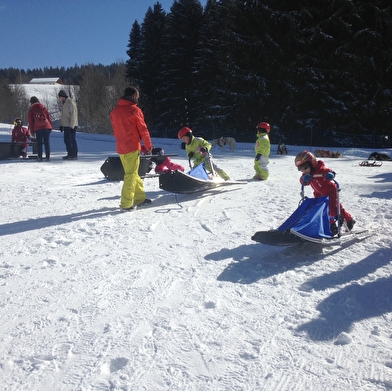 Free Sled - Chiens de traineaux