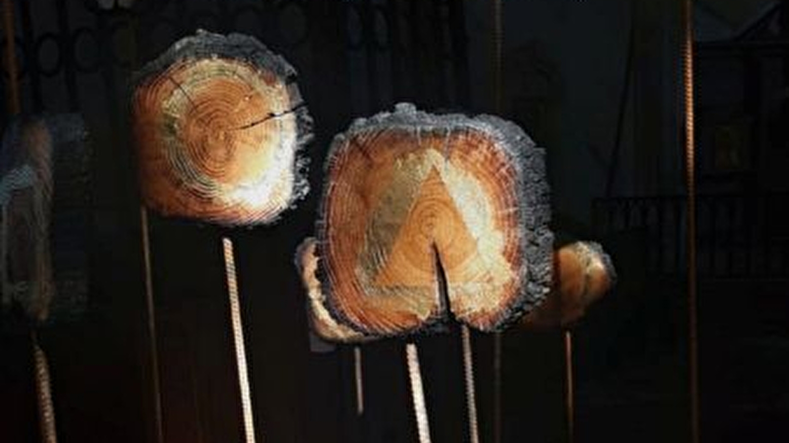 Multitudes - Sculptures en bois brûlé