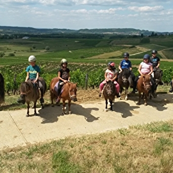 Poney club pirouette - LES REPOTS