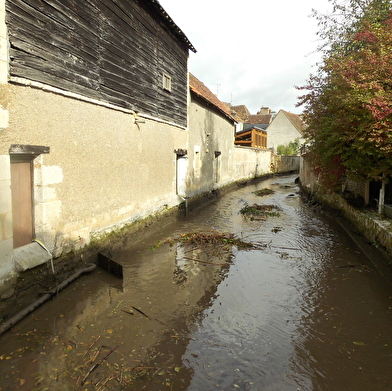 L'eau milieu vivant, action de l'eau, le cycle naturel de l'eau, préservation du milieu aquatique, l'eau source de vie.