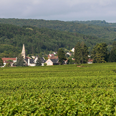 Escapade au Domaine Henri de Villamont