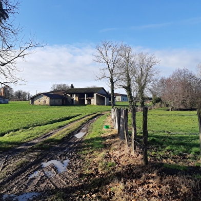 Sur les chemins de St Sulpice et St Didier d'Aussiat