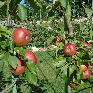 Rendez-vous aux Jardins au château de Montigny-sur-Aube
