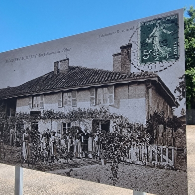 Circuit VTTAE n°27 (noir) - Les domaines de Bresse