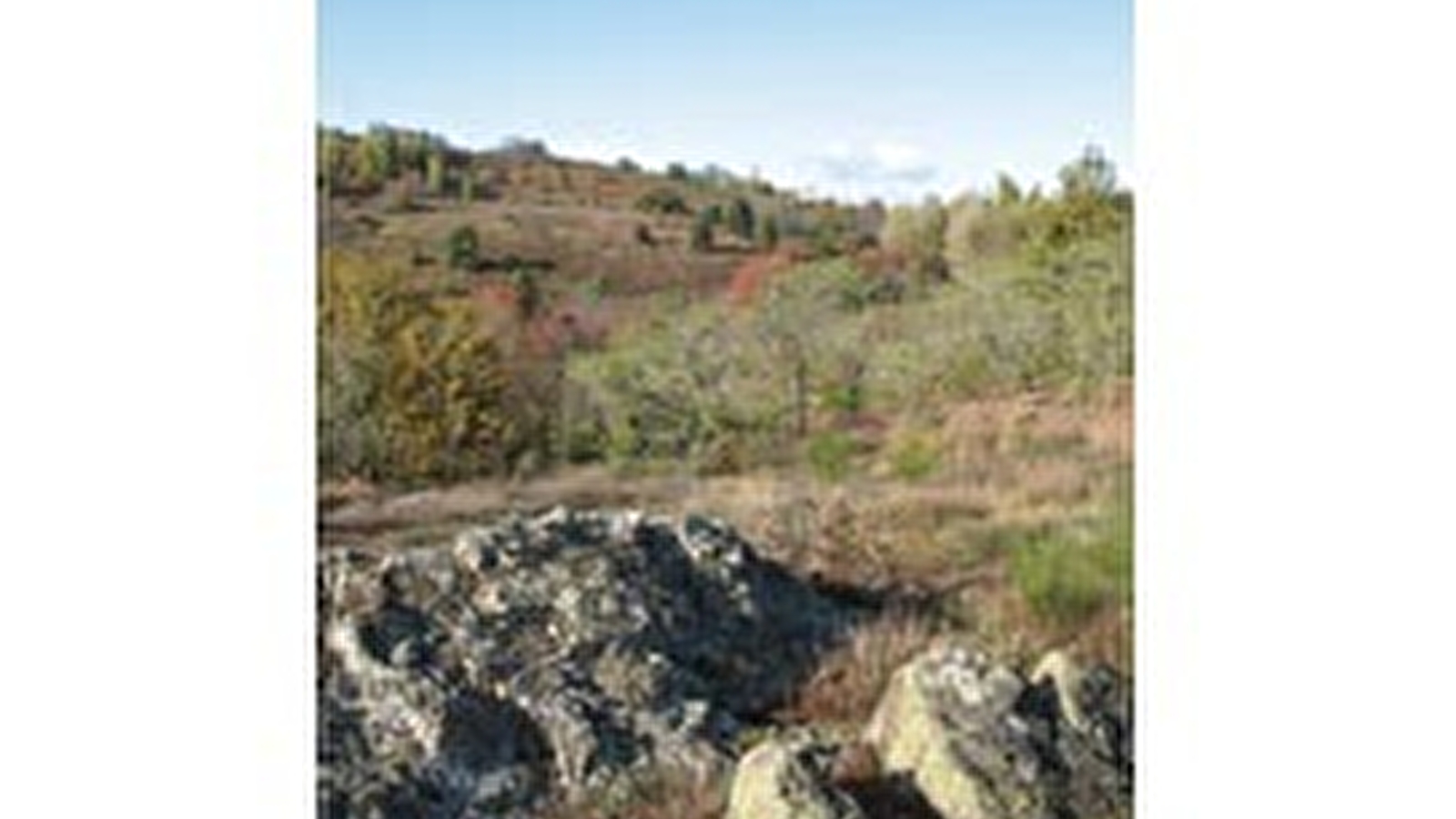 La lande de la Chaume