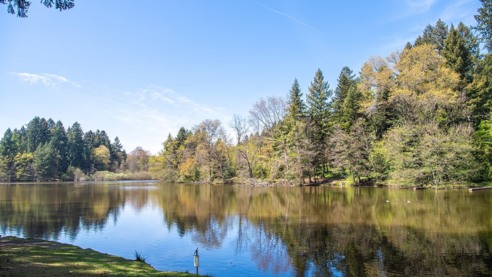 Atelier Aventures Mômes : Biodiversité à l'arboretum