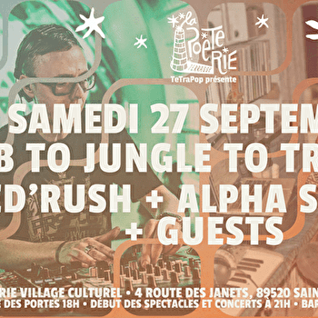 Dub to jungle to trance #3 - SAINT-SAUVEUR-EN-PUISAYE