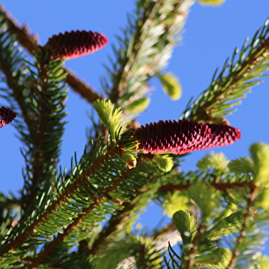 Balade de Sainte-Colombe