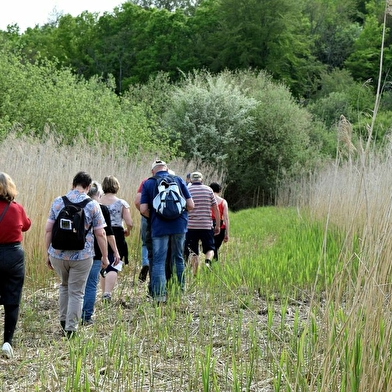 Le sentier du Marais d'Andryes 