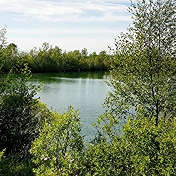 La maison des étangs-est - LES DEUX-FAYS